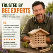 Blossoming Bees thumbnail 4